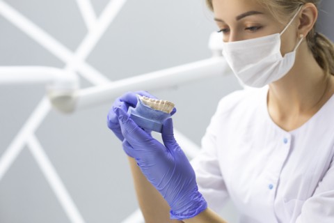 Dental assistant holding model teeth