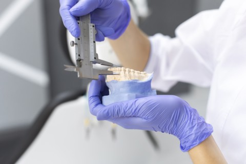 Dental assistant measuring model teeth