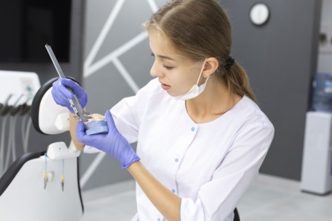 Dental assistant measuring model teeth