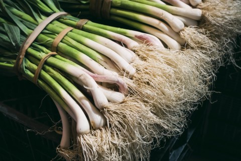 Bundles of spring onions