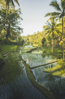 Woman on terraced rice paddies in Bali, Indonesia