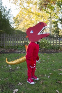 Boy dressed up as red dinosaur