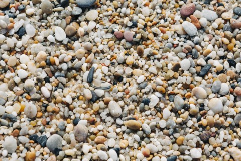 Seashells and pebbles on beach