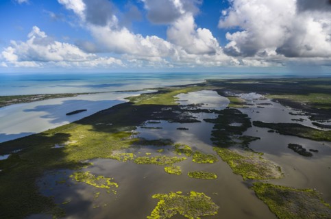 Aerial view of Everglades National Park in Florida, USA
