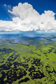 Aerial view of Everglades National Park in Florida, USA