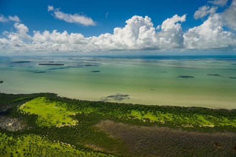 Aerial view of Everglades National Park in Florida, USA