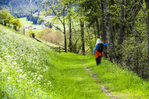 Woman hiking by wildflowers in Dolomites, Italy