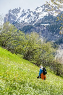 Woman hiking through wildflowers in Dolomites, Italy