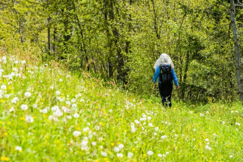 Woman hiking through wildflowers in Dolomites, Italy