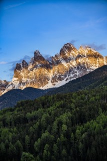 Forest by mountain peaks in Dolomites, Italy