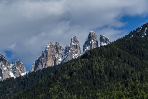Forest by mountain peaks in Dolomites, Italy