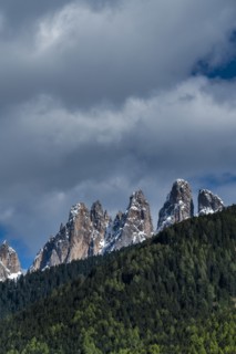 Forest by mountain peaks in Dolomites, Italy