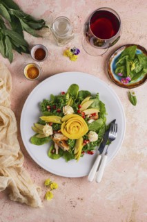 Vegetable and chicken salad with red wine