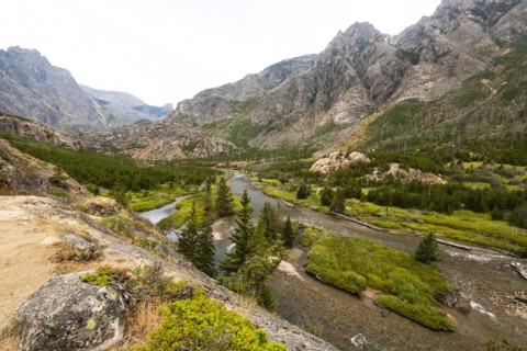 Mountains and forest in Montana, USA