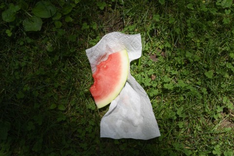 Slice of watermelon with napkin on grass