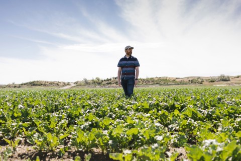 Man walking in crop field