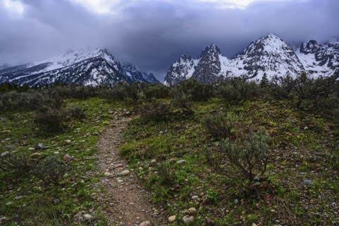 Snowcapped mountains by bush land in Grand Teton National Park