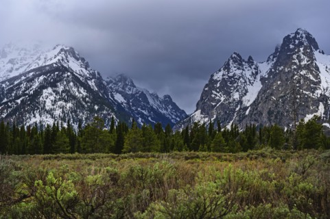 Snowcapped mountains by bush land in Grand Teton National Park