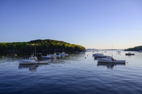 Fishing boats in Bar Harbor