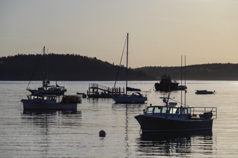 Fishing boats at sunset in Bar Harbor