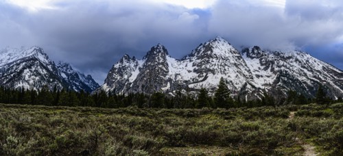 Snowcapped mountains by bush land in Grand Teton National Park