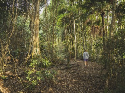 Woman walking in forest in Myall Lakes National Park