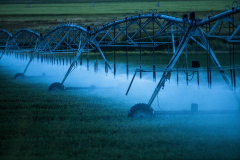 Irrigation system spraying crop field at sunset