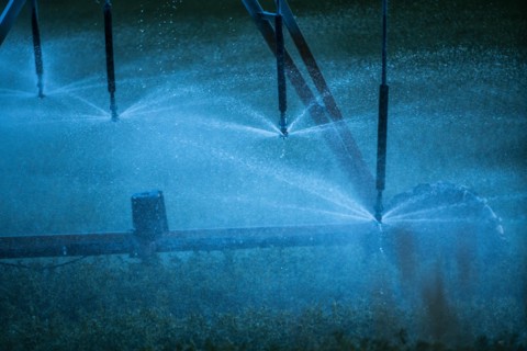 Irrigation system spraying crop field at sunset