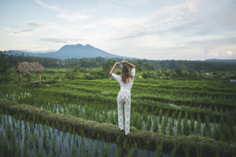 Rear view of woman standing in rice paddy in Bali