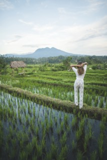 Rear view of woman standing in rice paddy in Bali