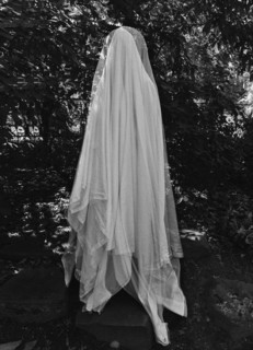 Ghost by trees