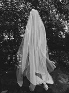 Ghost by trees