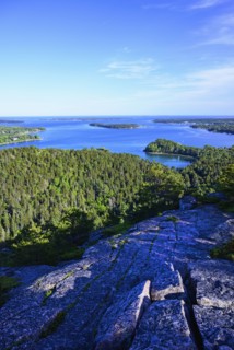 Rocks and forest by sea in Acadia National Park, Maine, USA