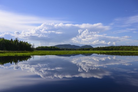 Clouds reflected in Bass Harbor Marsh, Mount Desert Island, USA