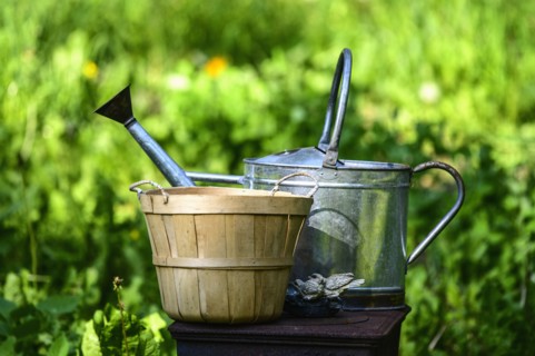 Watering can and wicker basket