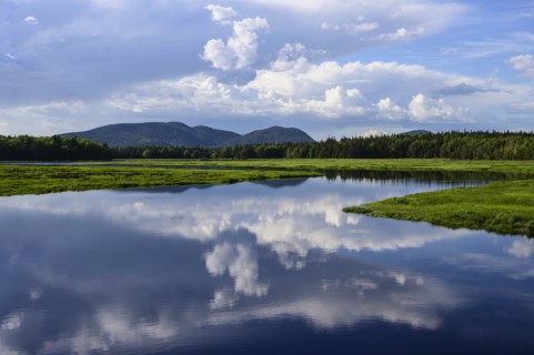 Clouds reflected in Bass Harbor Marsh, Mount Desert Island, USA