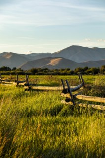 Fence through field in Picabo, Idaho, USA