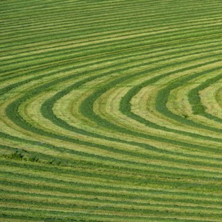 Field cut in curved shape in Picabo, Idaho, USA