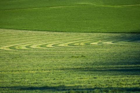 Field cut in curved shape in Picabo, Idaho, USA
