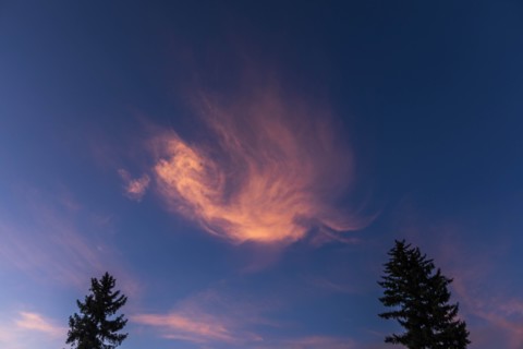 Pink clouds over trees in Sun Valley, Idaho, USA