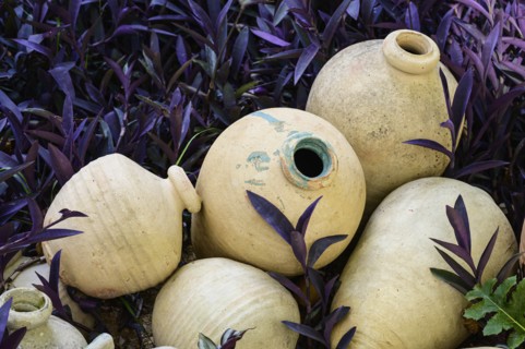 Pots in garden at Church of Saint Louis of France in Seville, Andalusia, Spain
