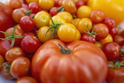 Red and yellow cherry tomatoes