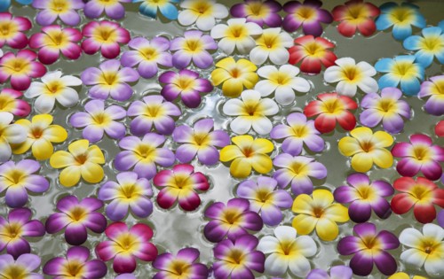 Flowers floating in wellness spa in Bangkok, Thailand
