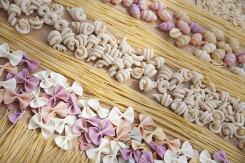 Assorted uncooked pasta in rows
