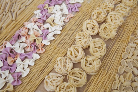 Assorted uncooked pasta in rows