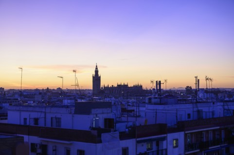 Cityscape with Giralda bell tower at sunset in Seville, Spain
