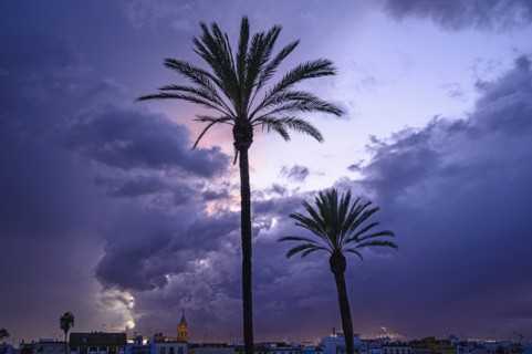 Palm trees against cloud at sunset in Seville, Spain