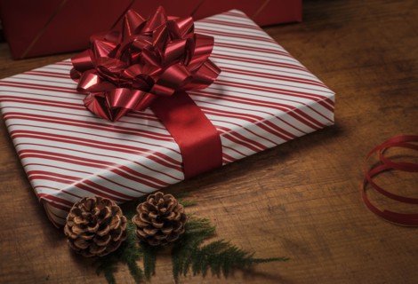 Red Christmas present by pinecones