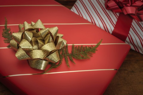 Pine frond under bow on Christmas present