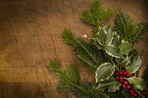 Mistletoe and pine fronds